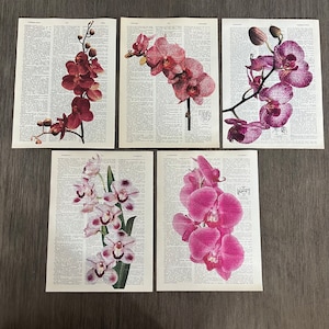 Orchid Theme - Etsy