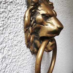 May include: A brass door knocker shaped like a lion head in profile, featuring a textured mane and a smooth circular ring held in the lion's mouth. The metal has a polished finish with dark recessed areas highlighting the sculpted facial details.