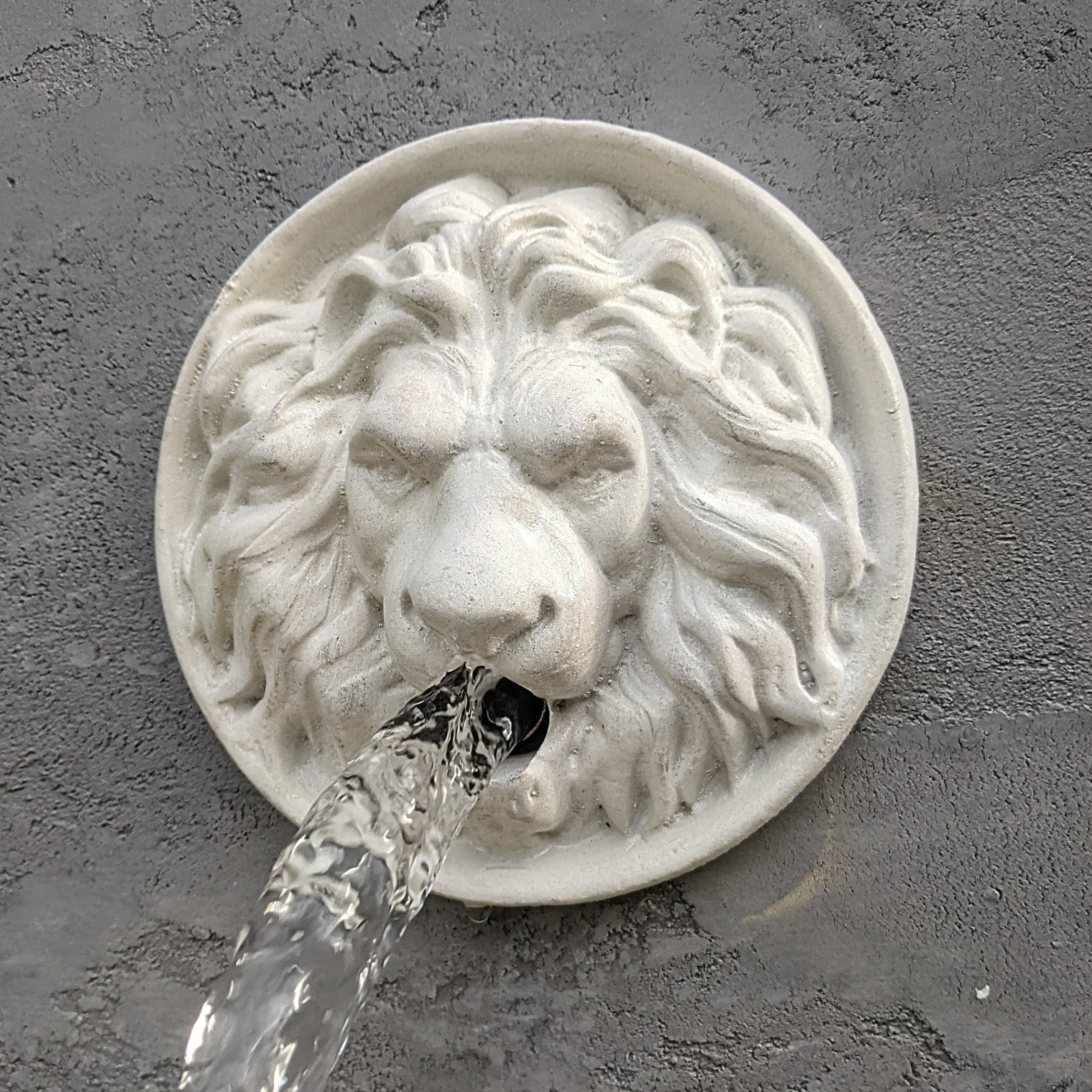 Lion Head Wall Water Spout for Pool Lion Head Water Feature Lion Head