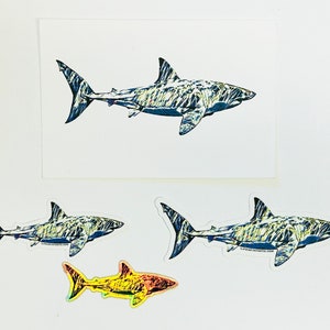 Great White Shark Stickers Gift Pack 3 Shark Stickers & 1 Free Postcard image 6