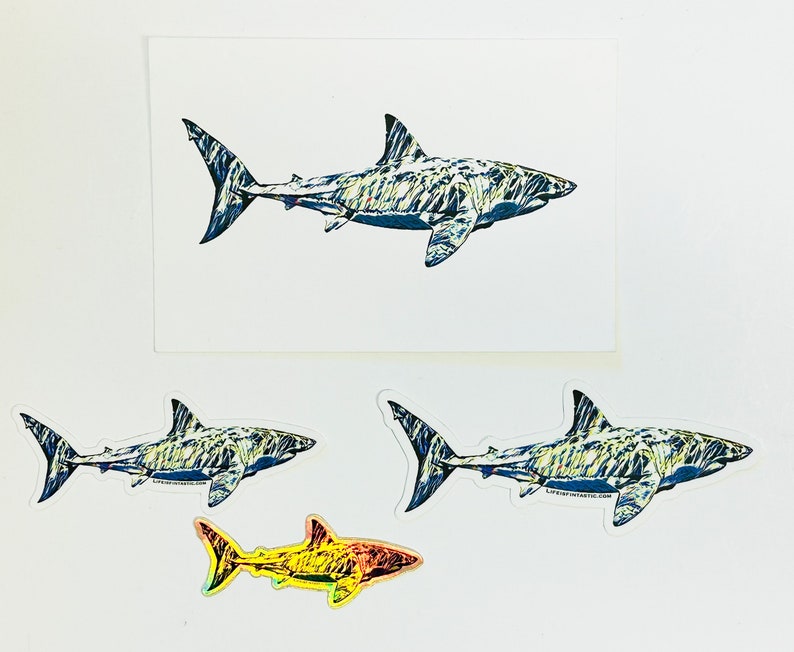 Great White Shark Stickers Gift Pack 3 Shark Stickers & 1 Free Postcard image 6