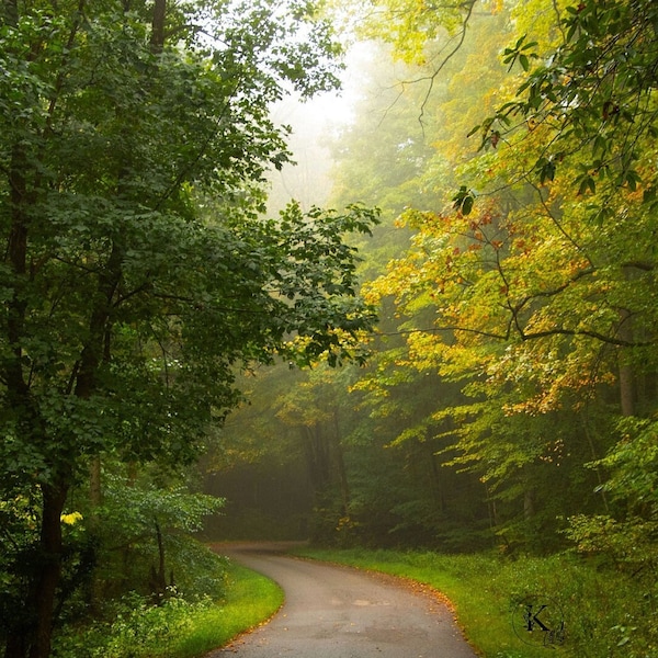 Scenic country drive, Scenic country road, Nature photograph, nature print, Country decor, country roads, instant download