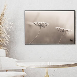 Two Queen Anne's Lace in sepia, neutral flower print, Sepia flower photo, Sepia floral print, botanical print, instant download