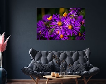 Margarita morada, estampado floral morado, foto de flores, fotografía de naturaleza, decoración del hogar, decoración de la pared, flor morada, descarga instantánea