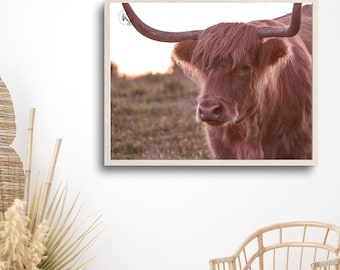 Horned cow at sunset, Highland cow, brown cow photo, farmhouse decor, country wall art, home decor, wall decor, digital download