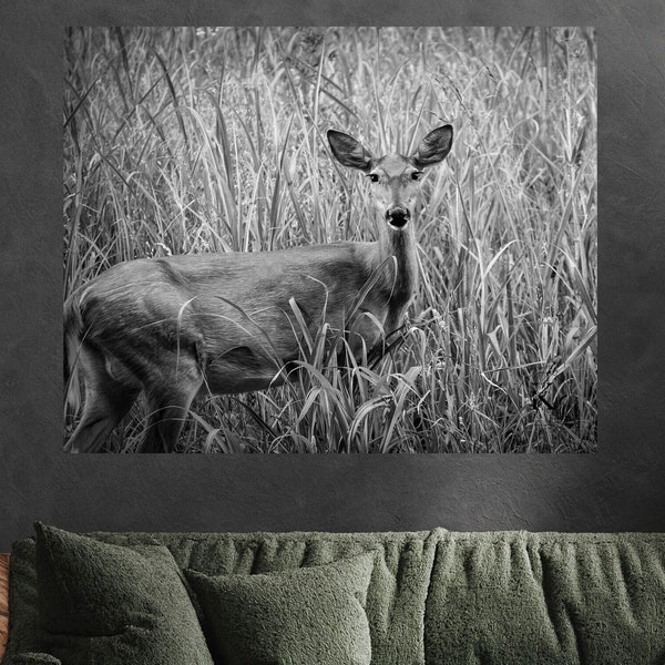 Deer in the brush bw, black and white deer photo, deer print, wildlife photo, nature photography, deer photograph, instant download