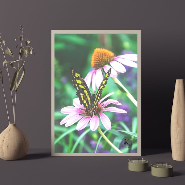 Pink coneflower and butterfly, flower photo, floral print, green butterfly photo, home decor, nature photography, digital download