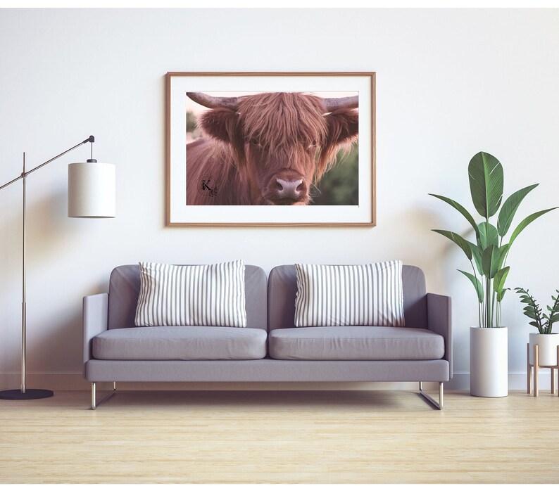 Shaggy Rust Colored Horned Cow, Farmhouse Wall Art, Digital Download ...