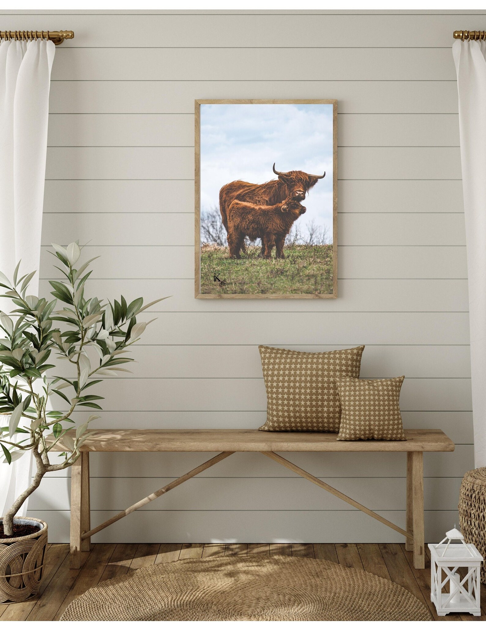 Highland Cow With Calf Cow Photo Cow Print Cow & Baby Calf - Etsy