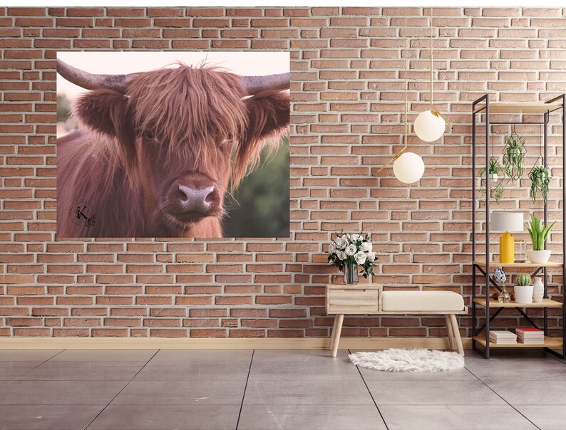 Shaggy Rust Colored Horned Cow, Farmhouse Wall Art, Digital Download ...