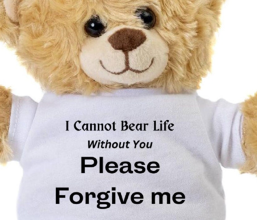 Please Forgive Me Teddy Bear, I Cannot Bear Life Without You, Im Sorry  Gift, Please Forgive Me, Im Sorry I Hurt You, Apology Gift - Etsy