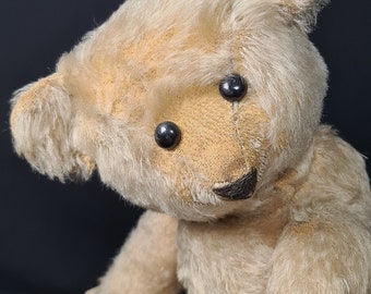 Early 1910's Era Cute (40cm/15,74)inches <>Teddy with Shoe Button Eyes ******