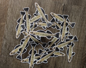 Logperch Darter (Percina caprodes) sticker