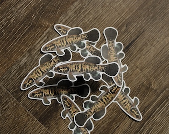 Adesivo centrale Mudminnow (Umbra limi).