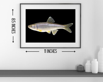 Misprints - Underwater and Black Backgrounds