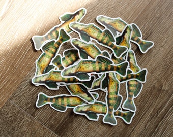 Greenside Darter (Etheostoma blennioides) sticker