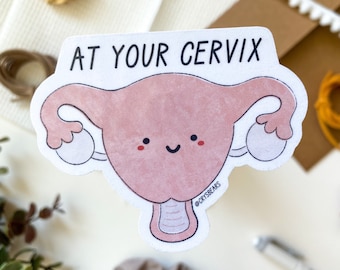 At Your Cervix Sticker, OBGYN, OB, Doctor, Medical, Nurse, RN, Medical Student, Nursing Student, Obstetrics, Gynecology, Anatomy, Doula