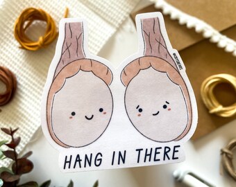 Hang In There Sticker, Testicle Sticker, Medical Sticker, Urology, Nurse, Doctor, Medical Student, Nursing Student, NP, PA, EMS, Anatomy