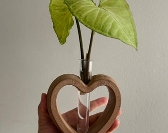 Heart propagation vase with test tube | Heart propagation station for plant cuttings | test tubes holder | gifts for plant lovers