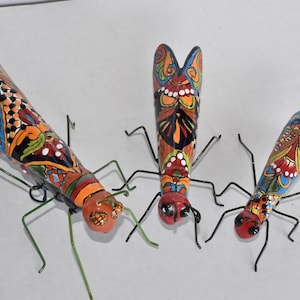Grasshoppers Collection in Talavera