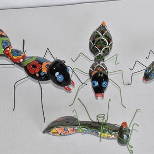 Ant Collection in Talavera.