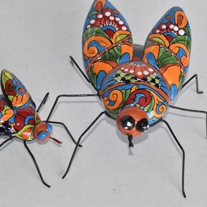 Flies Collection in Talavera