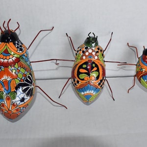 Beetles collection in Talavera