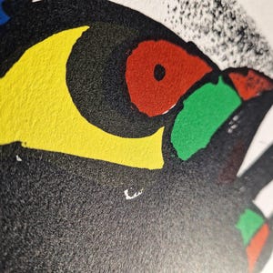 May include: Close-up of a colorful abstract artwork featuring a bird's eye. The design incorporates bold colors: yellow, red, green, and blue against a black background. The artwork has a textured appearance.