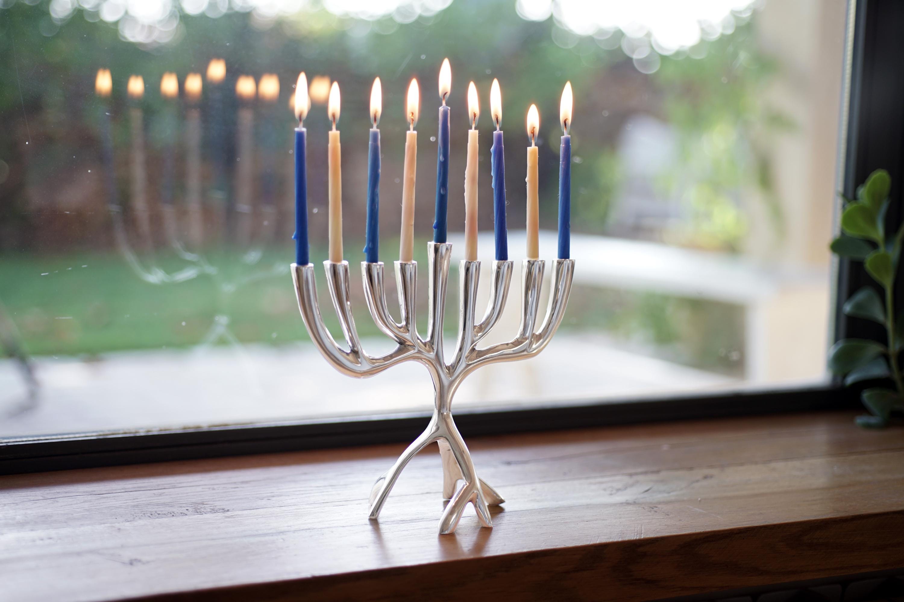 Yair Emanuel Tree of Life Hanukkah Menorah 9 branch 7 Inch - Modern Contemporary Menorah Chanukah Chanukia Aluminum - Jewish Judaica Gift