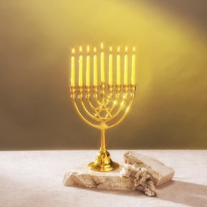 Yair Emanuel Star of David Hanukkah Menorah 9 branch - 8.7 Inch