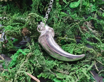Wolf Claw, Sterling Silver Pendant - Unisex