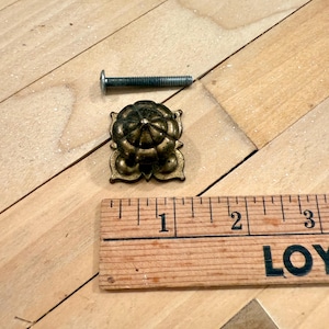 May include: An antique brass-toned drawer pull with a floral design, accompanied by a screw. A wooden ruler shows the pull is approximately 1 inch in diameter. The pull is likely for furniture restoration or a vintage decor project.