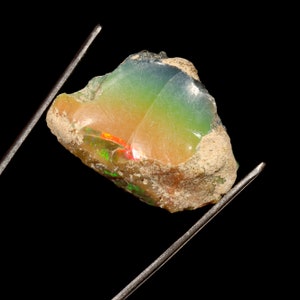 May include: A rough, natural opal gemstone with a rainbow of colours, including green, yellow, orange, and red. The opal is held by two metal tweezers against a black background.