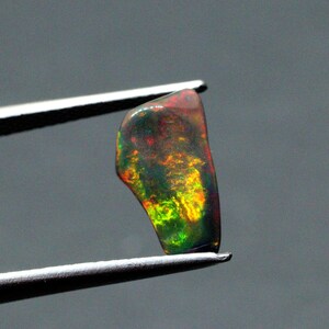 May include: A small, irregularly shaped, dark green opal gemstone with flashes of red, yellow, and green. The opal is held in tweezers.
