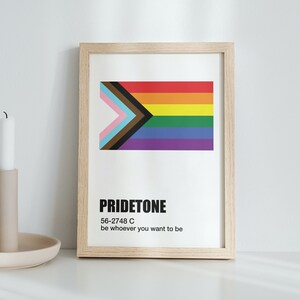 Pride Flag Wall Art / LGBTQ+ / Personalised Option / Pantone Inspired