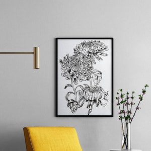 Illustration Chrysanthemums A4  A3  Poster  Drawing  image 1
