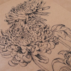 Illustration Chrysanthemums A4  A3  Poster  Drawing  Kraft