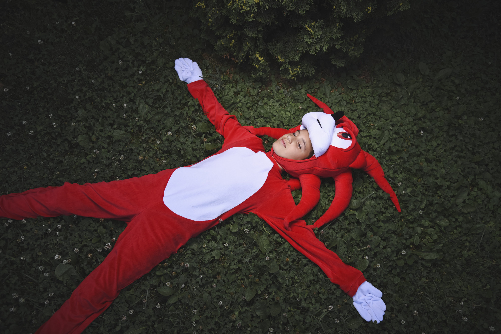 FANTASIA MASCOTE SONIC KNUCKLES THE ECHIDNA HEDGEHOG – H2L COSPLAY