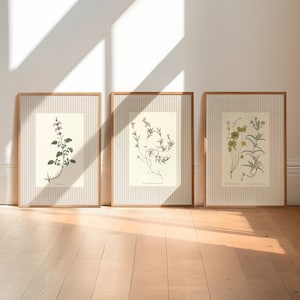 Floral Botanical Wall Art - Set of 3 | Hand-Drawn Vintage-Style Pink Wildflower Study & Striped Background | Cosy Cottagecore Home Decor