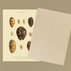 Seashell Save the Date für Küstenhochzeiten | A6 Anpassbare Vorlage mit Eleganten Braun Muschel Zeichnungen & Minimalistischem Design
