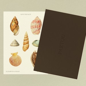 Mehrfarbige Seashell Save the Dates für Hochzeit am Strand | A6 anpassbare bearbeitbare Vorlage mit wunderschönen nautischen Illustrationen