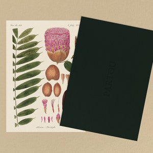 Botanisch bewaar de datums | Afdrukbare sjabloon met roze bloemenillustratie