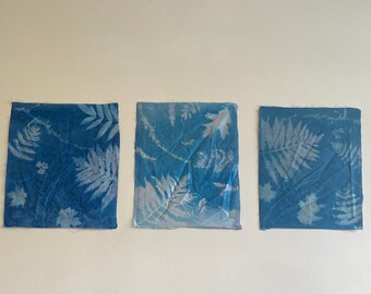 Cyanotype Wall Hang