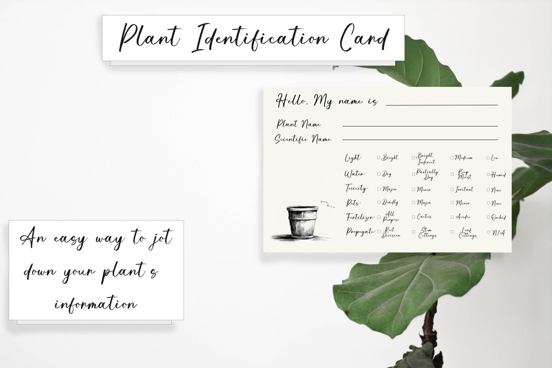 Plant Identification Cards Etsy
