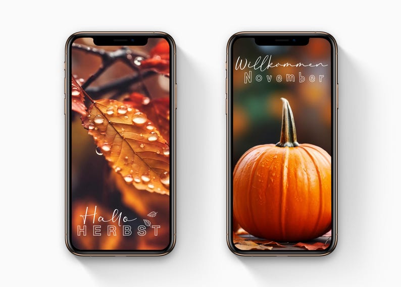 May include: Two smartphone screens displaying autumn-themed images. One shows a close-up of a wet, orange leaf with the text "Hallo Herbst". The other features a vibrant orange pumpkin with the text "Willkommen November".