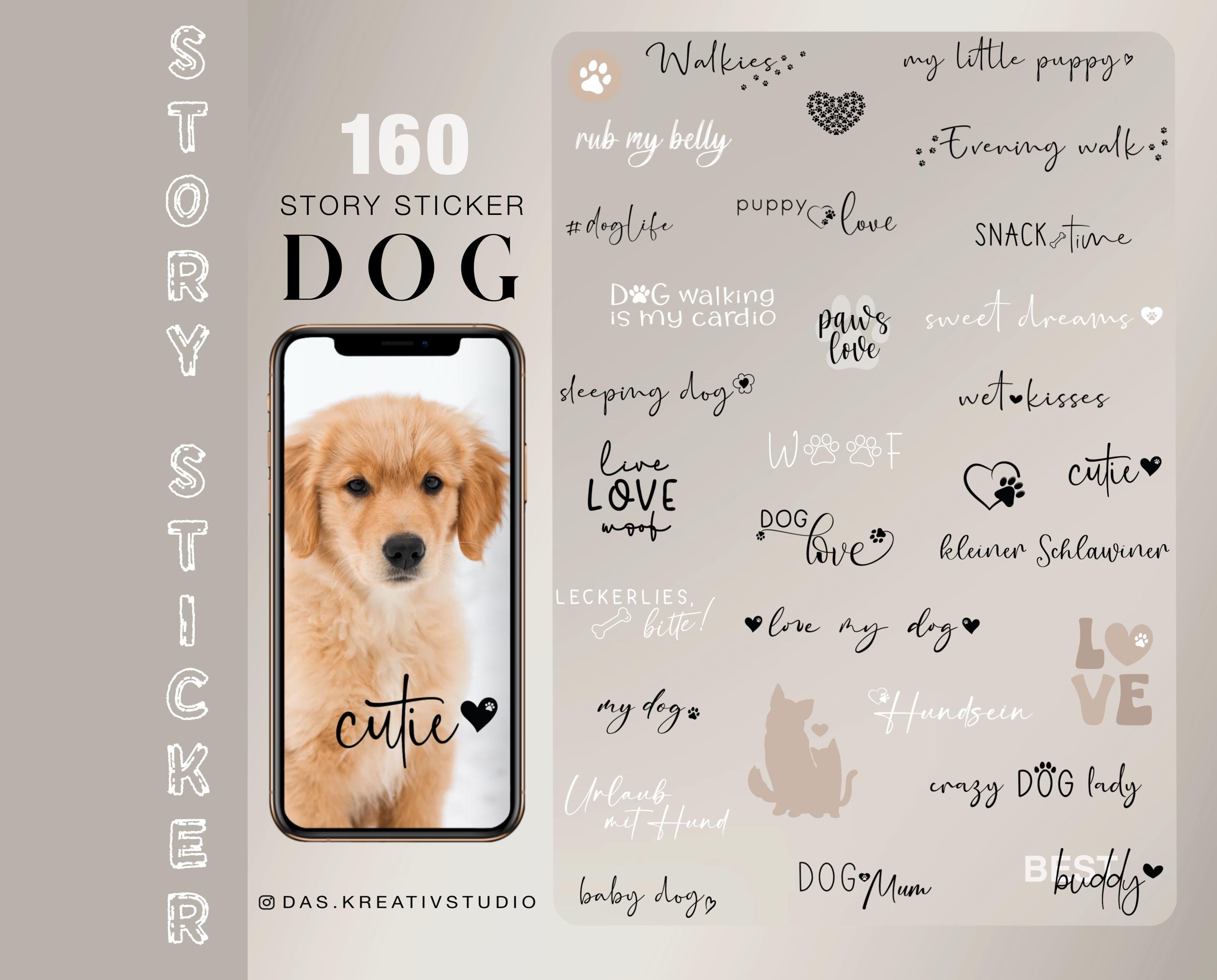 Pets welcome sticker México