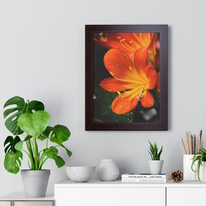 Bright Bush Lily - Framed Poster