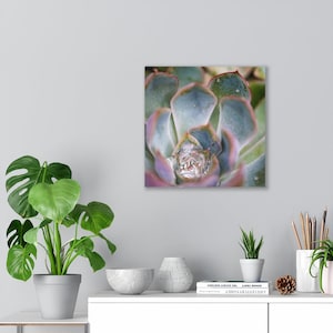 Stunning Succulent - Canvas
