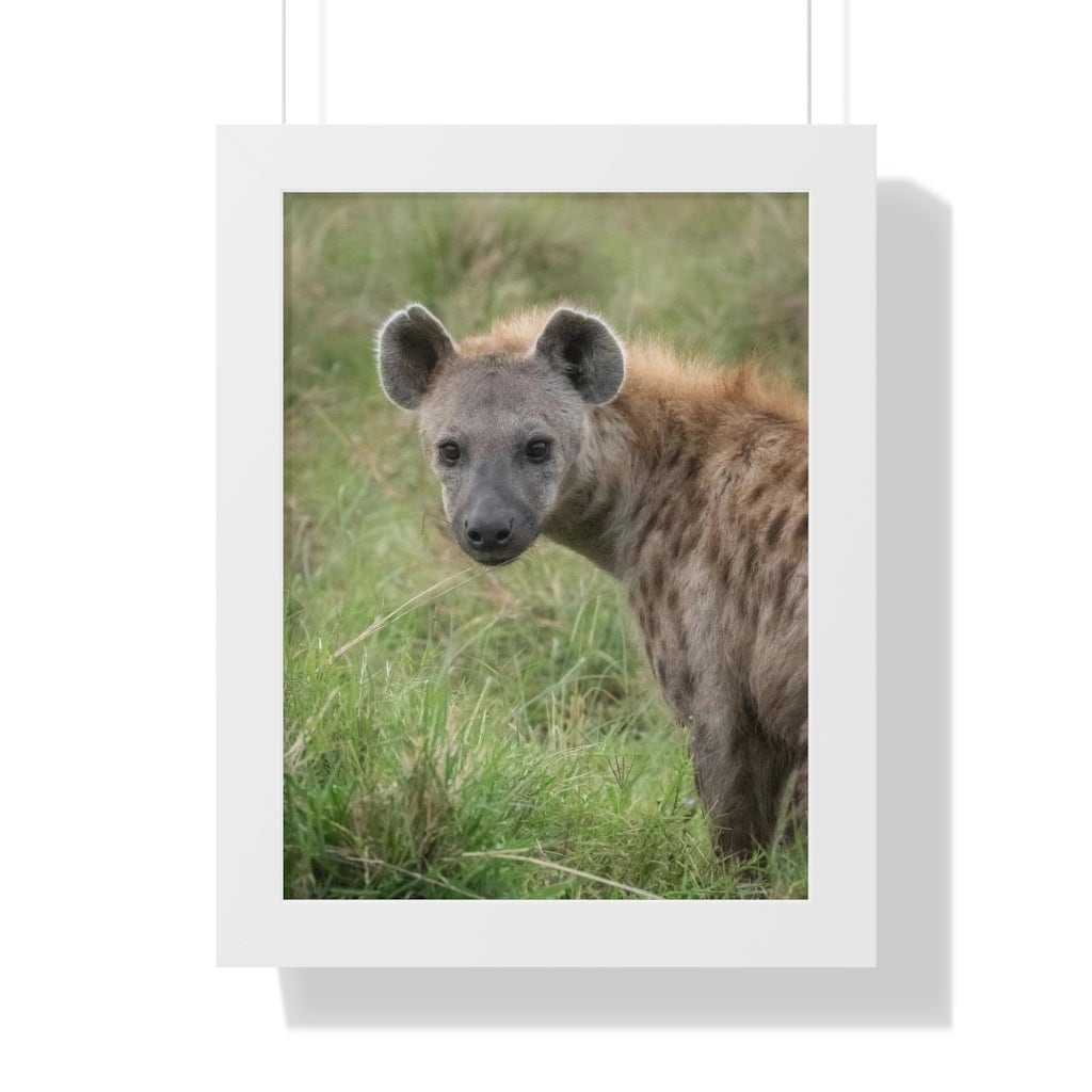 Hyena Stare - Framed Poster - Etsy