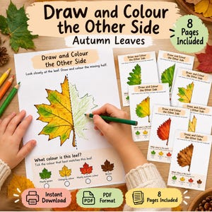 Puede incluir: Un conjunto de 8 páginas de actividades imprimibles tituladas Draw and Colour the Other Side Autumn Leaves. Cada página presenta una mitad de hoja para completar y una sección de correspondencia de colores. Hojas blancas con ilustraciones.